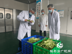 通过查抄发觉总体环境基