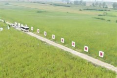 该集团产物矩阵已笼盖暖锅油碟、暖锅麻酱、菜